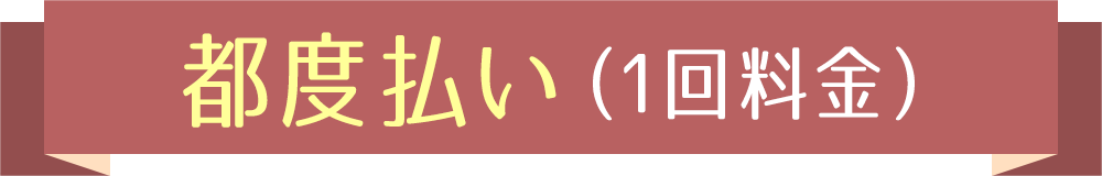 都度払い（1回料金）