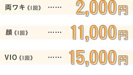 両ワキ《1回》2,000円 | 顔《1回》11,000円 | VIO《1回》15,000円 