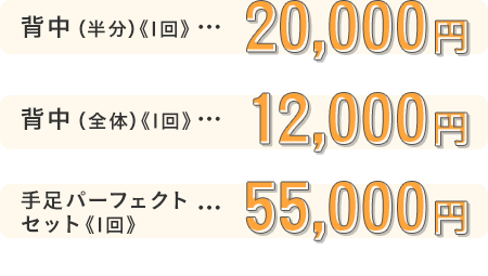 背中（半分）《1回》20,000円 | 背中（全体）《1回》12,000円 | 手足パーフェクトセット《1回》55,000円