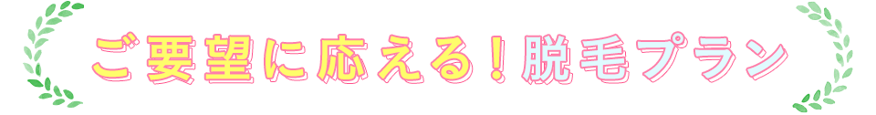 ご要望に応える！脱毛プラン